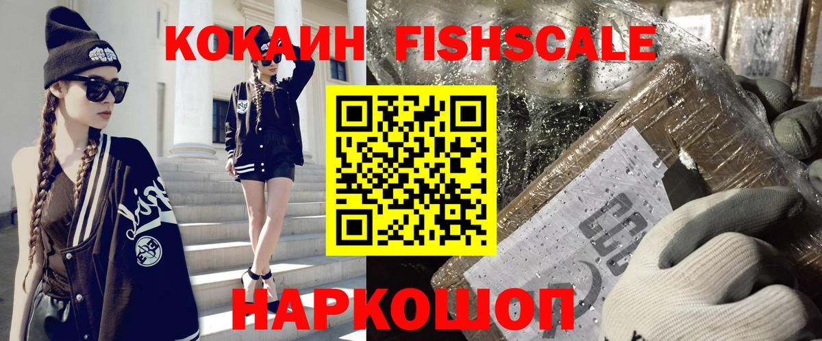 Cocaine Fish Scale  Вход с VPN  Топки 
