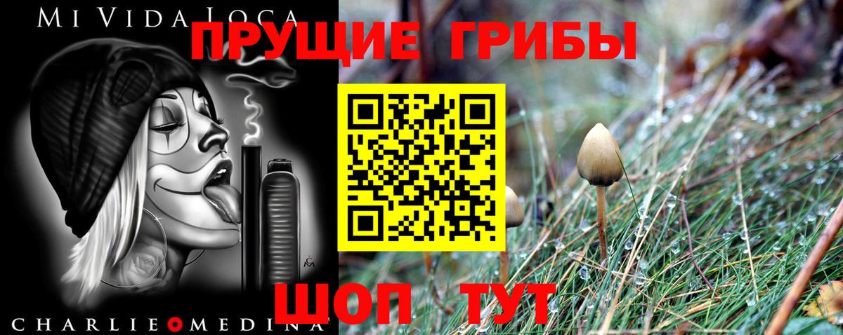 Топки  Галлюциногенные грибы GOLDEN TEACHER  Псилоцибиновые грибы Psilocybe  Вход с VPN 