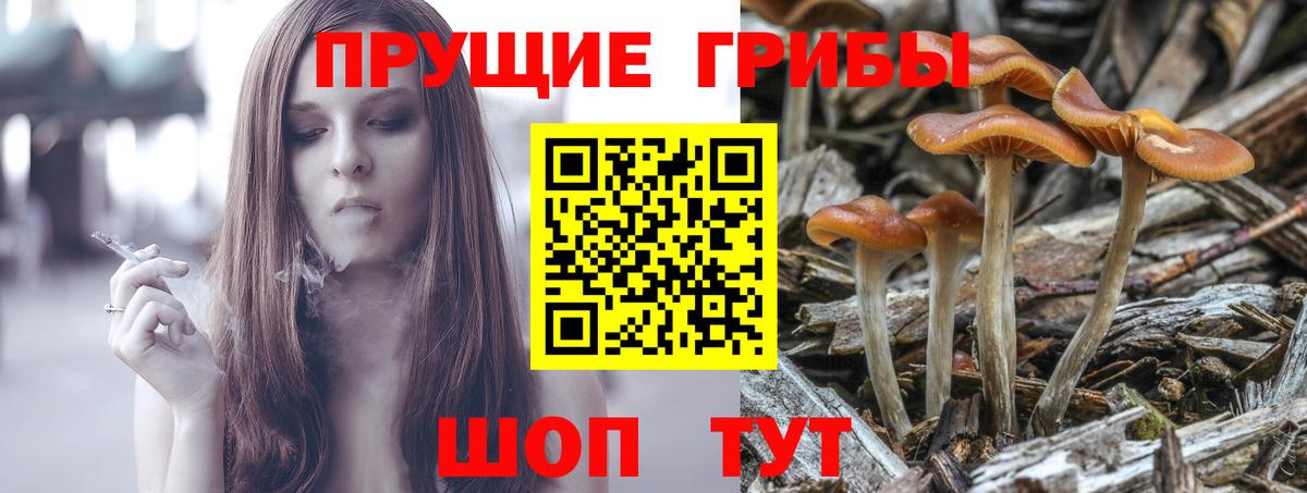 А ПВП Топки